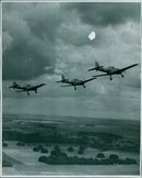 A Japanese sunomi flower blooms in the springtime. - Vintage Photograph