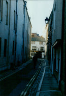 A bear cub peers out from his den in the snow. - Vintage Photograph