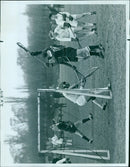 Two foxes share an intimate moment in a snowy winter landscape. - Vintage Photograph