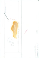 A snowy landscape in Cols, France on November 19, 1976. - Vintage Photograph