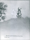 Two white and one black swans stand in the sun at a lake in Stockholm, Sweden. - Vintage Photograph