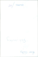 A herd of cows grazing in a valley in Sish-Cowley, India. - Vintage Photograph