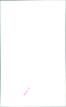 The world's first computer-generated image of a human face is unveiled. - Vintage Photograph