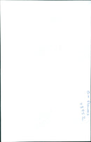 A woman stands among a sea of yellow and white flowers in a field. - Vintage Photograph