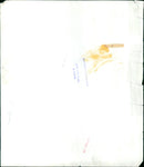 A view of Oli Gardens on March 7, 1975. - Vintage Photograph