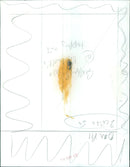 Students protest the Vietnam War in Washington DC. - Vintage Photograph