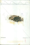 Members of the Vietnam War protest group, Moms Opposing the War, march in Washington, DC. - Vintage Photograph