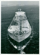 Fatyget Bonny - Vintage Photograph