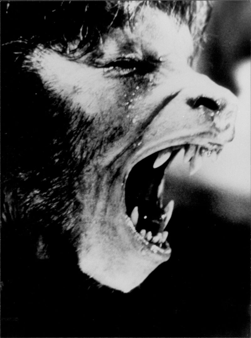 A scene from a movie, American Werewolf - Vintage Photograph