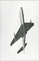 Nimrod - Vintage Photograph