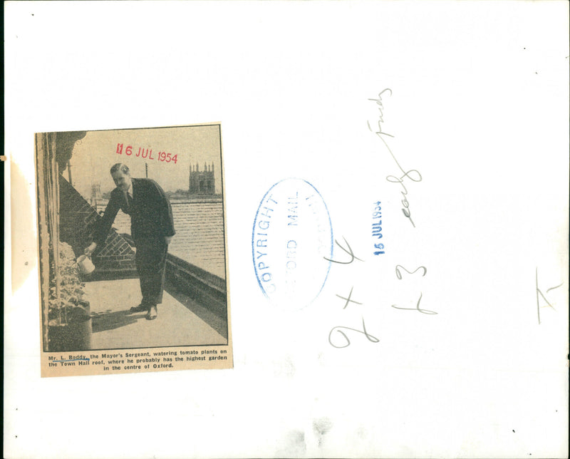 Mr. L. Boddy - Vintage Photograph