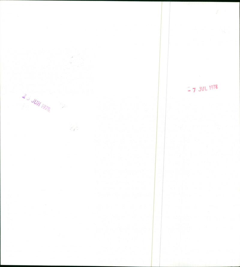 Nellie Bly - Vintage Photograph