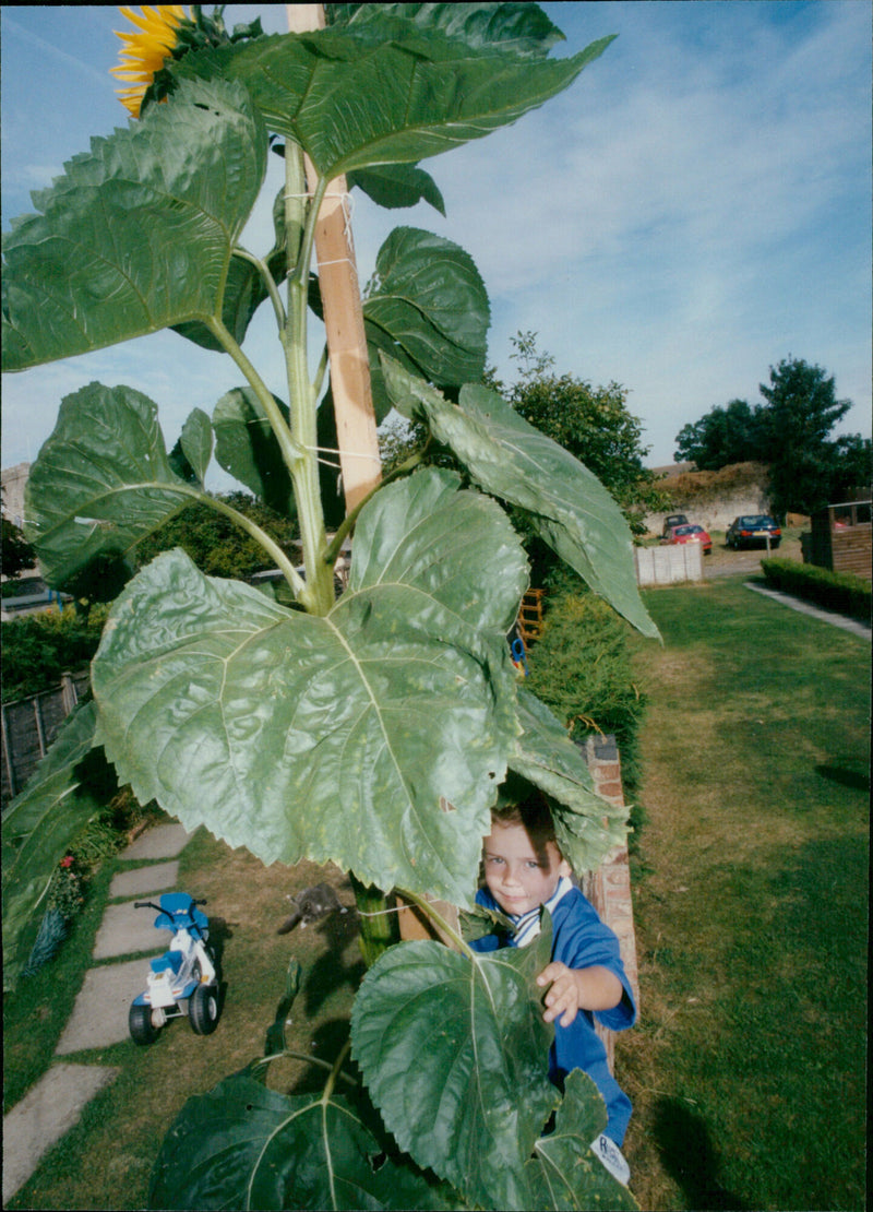 Nicholas Boczkariw - Vintage Photograph