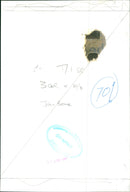 John Bone - Vintage Photograph