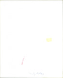 Timothy Bottoms - Vintage Photograph