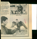 Ashley Boon - Vintage Photograph