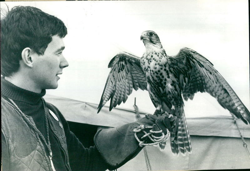 Ashley Boon - Vintage Photograph