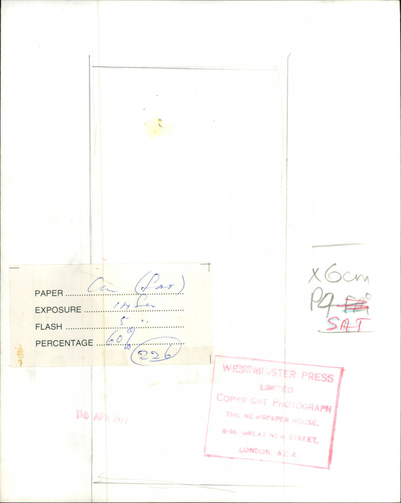 Lady Annunziata Asquith - Vintage Photograph