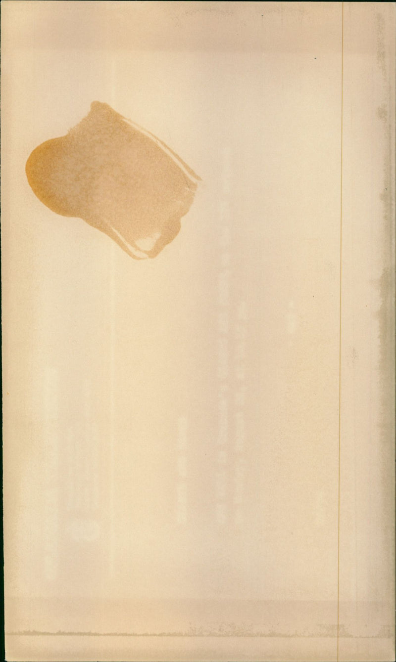 Ann Bell - Vintage Photograph