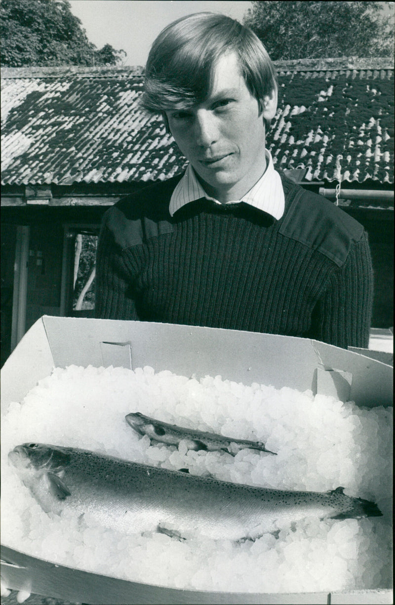 Peter Austin - Vintage Photograph