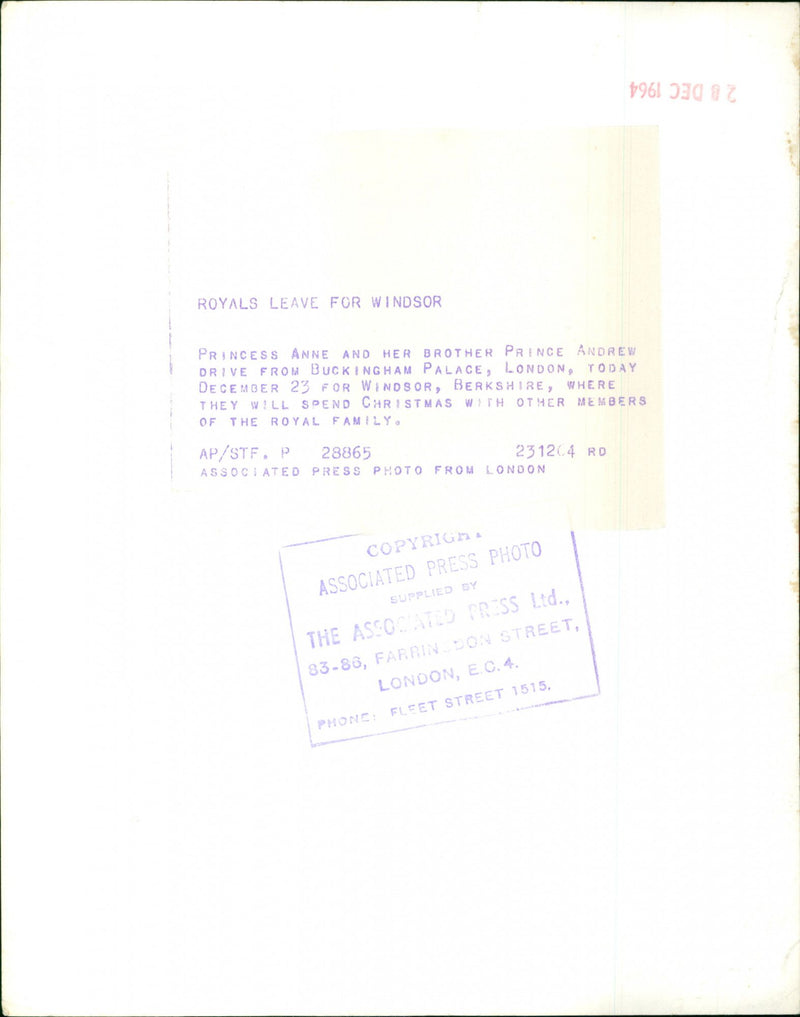 Princess Anne - Vintage Photograph