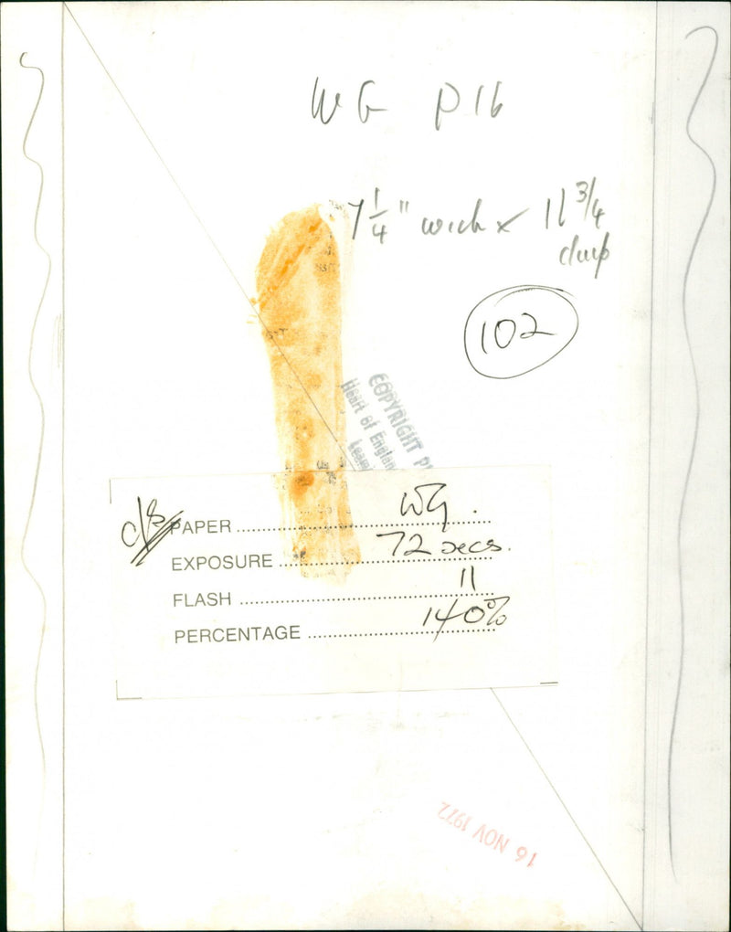 Princess Anne - Vintage Photograph