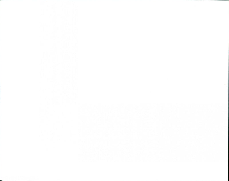 The Beautiful South - Vintage Photograph