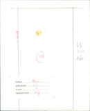 Roy Buchanan - Vintage Photograph