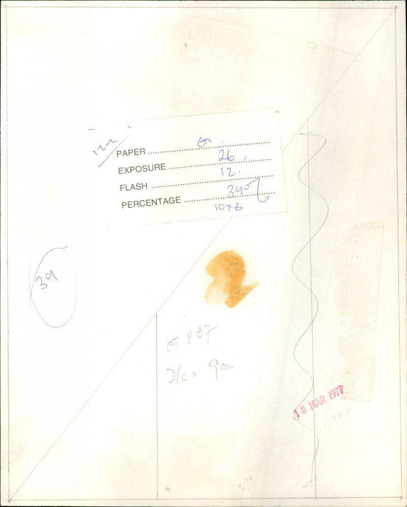 Princess Anne - Vintage Photograph