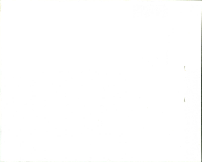 Australian Crawl - Vintage Photograph