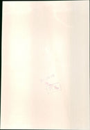 Anthony Andrews - Vintage Photograph