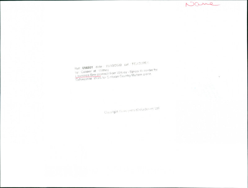 Lawrence Bee - Vintage Photograph