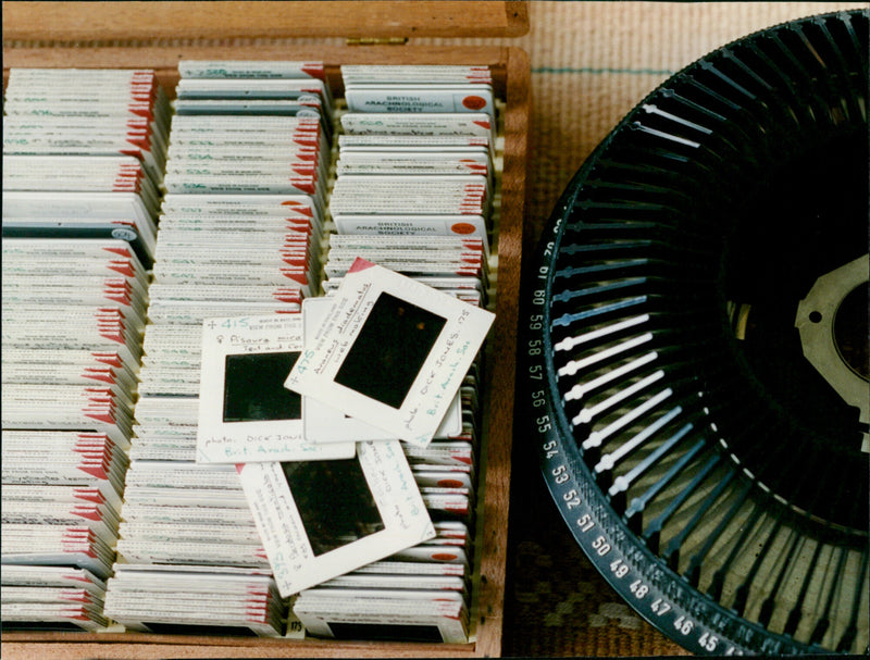 Lawrence Bee - Vintage Photograph