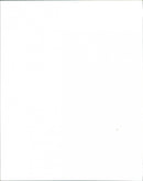 Beautiful South - Vintage Photograph