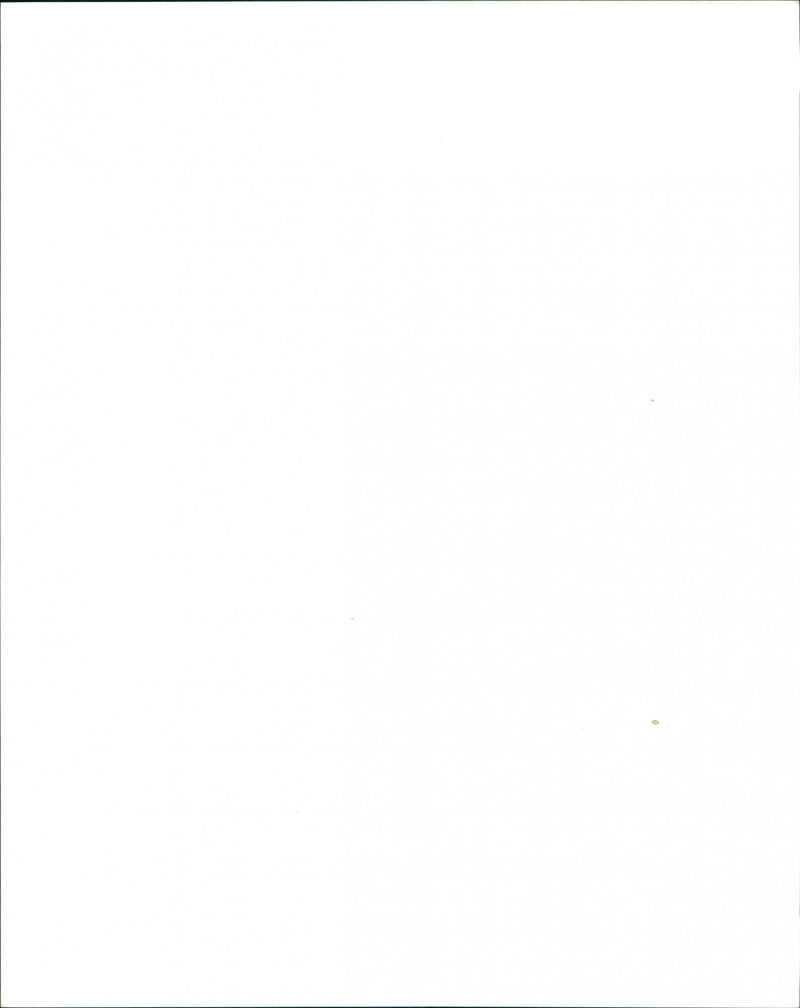 Beautiful South - Vintage Photograph