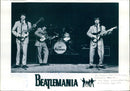 Beatlemania - Vintage Photograph