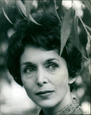 Maxine Audley - Vintage Photograph