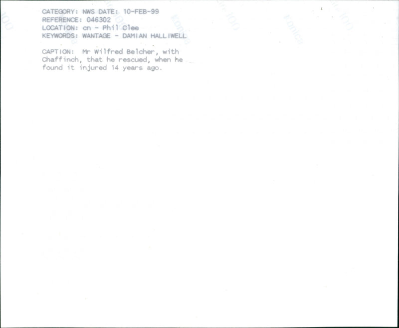 Wilfred Belcher - Vintage Photograph