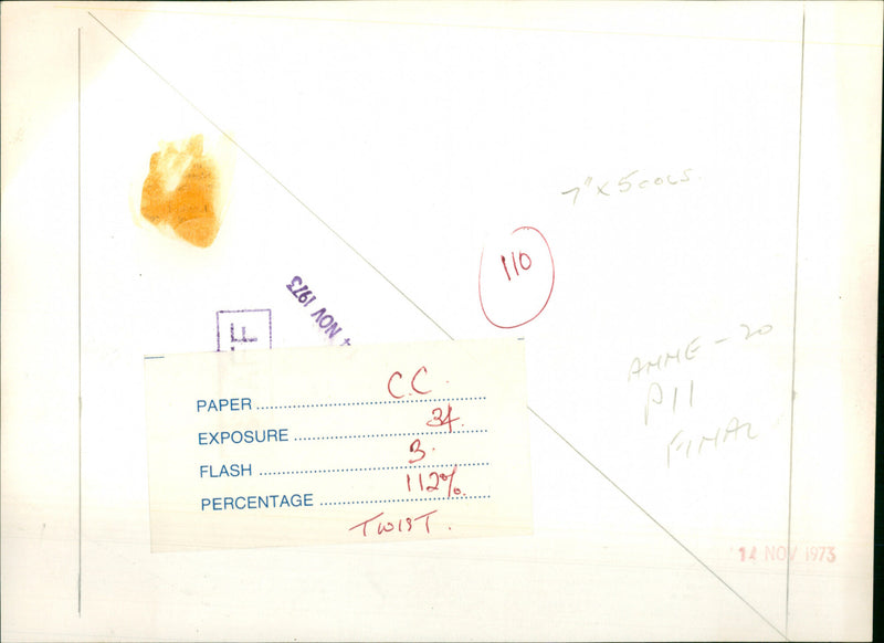 Princess Anne - Vintage Photograph