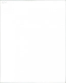 The Belle Stars - Vintage Photograph