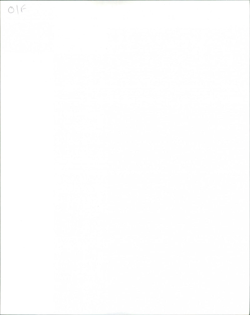 The Belle Stars - Vintage Photograph