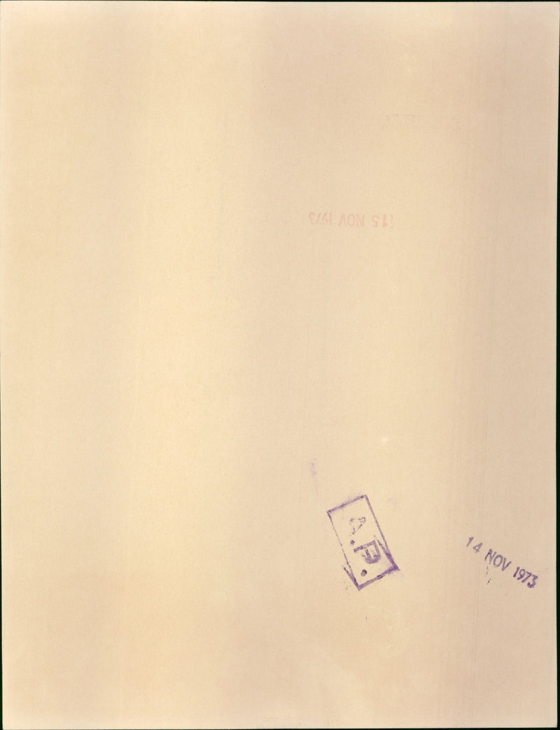 Bridal Carriage Bearing Captain Mark Phillips and Princess Anne - Vintage Photograph