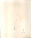 Sheila Buckley - Vintage Photograph