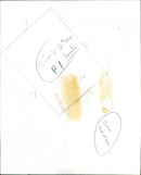 Anne Baxter - Vintage Photograph