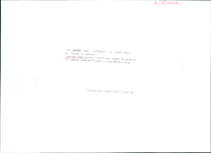 Lawrence Bee - Vintage Photograph