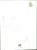 Lady Elegance - Vintage Photograph