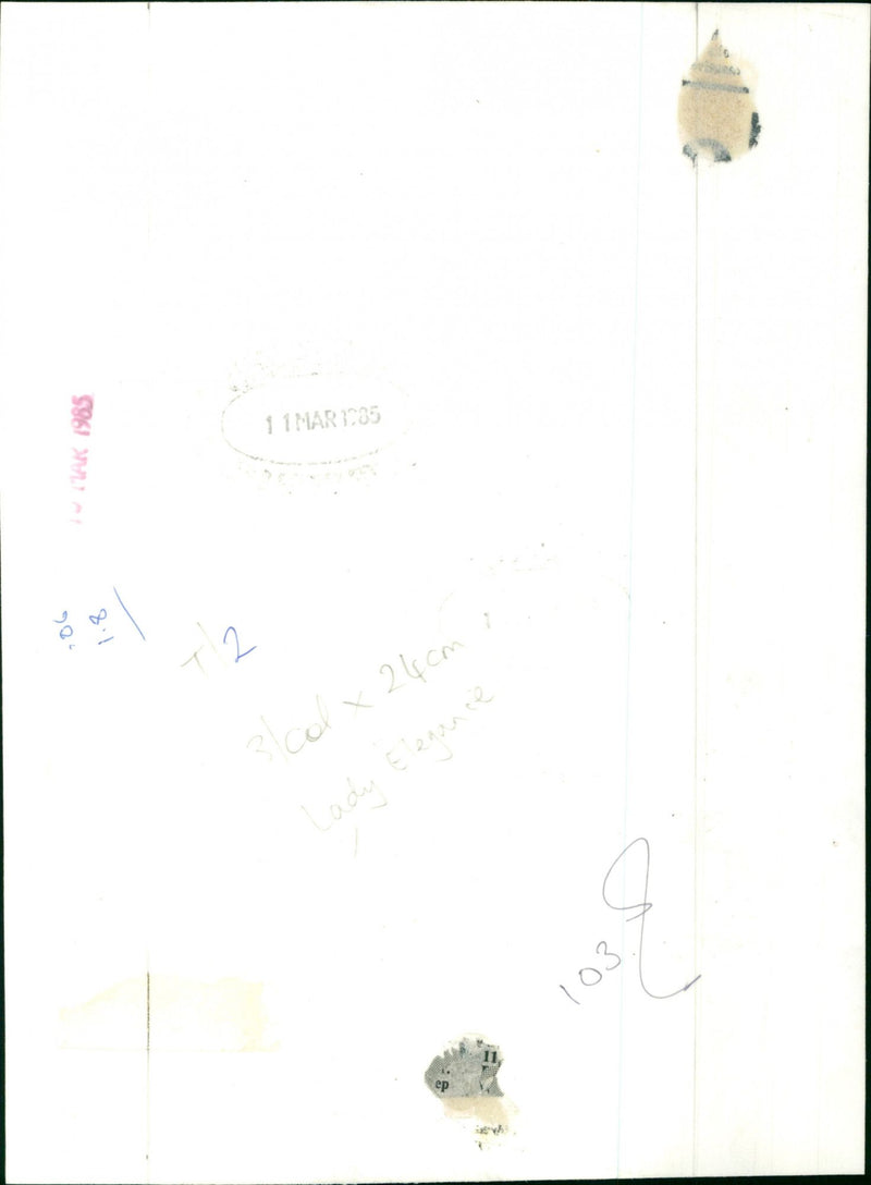 Lady Elegance - Vintage Photograph