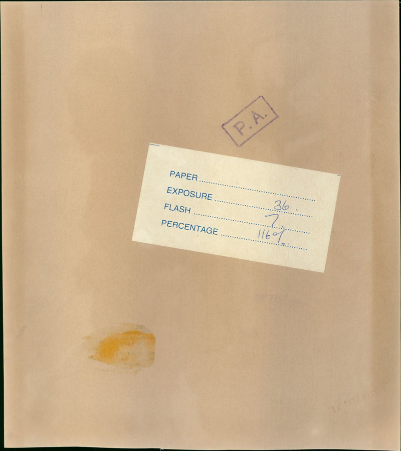 Captain Mark Phillips and Princess Anne - Vintage Photograph