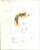 Peter Audley Miller - Vintage Photograph