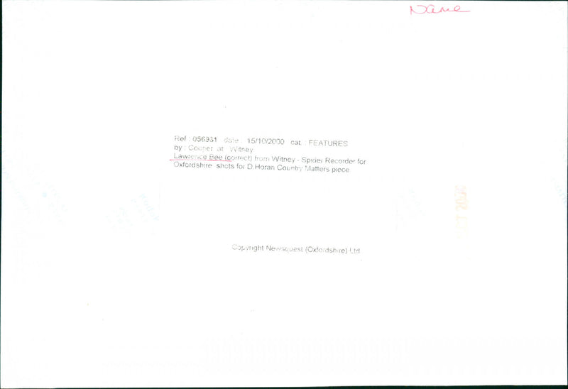 Lawrence Bee - Vintage Photograph